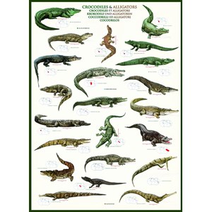 Eurographics (6000-4680) - "Crocodiles & Alligators" - 1000 pieces puzzle