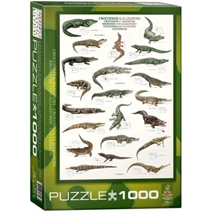 Eurographics (6000-4680) - "Crocodiles & Alligators" - 1000 pieces puzzle