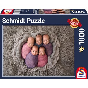Schmidt Spiele (58301) - "Five Babies" - 1000 pieces puzzle