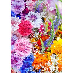 Grafika Kids (01170) - "Flower Blast" - 100 pieces puzzle