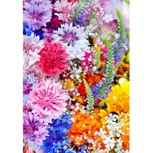 Grafika Kids (01170) - "Flower Blast" - 100 pieces puzzle