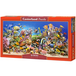 Castorland (C-400089) - "The underwater life" - 4000 pieces puzzle