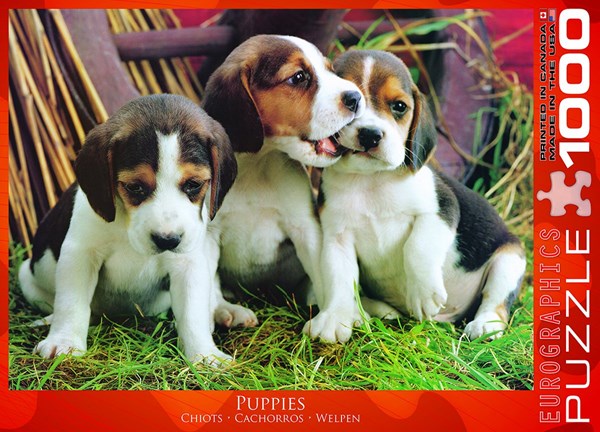 Eurographics (6000-4054) - "Puppies" - 1000 pieces puzzle