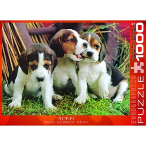 Eurographics (6000-4054) - "Puppies" - 1000 pieces puzzle