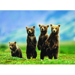 Eurographics (6000-0531) - "Bear Cubs Standing" - 1000 pieces puzzle