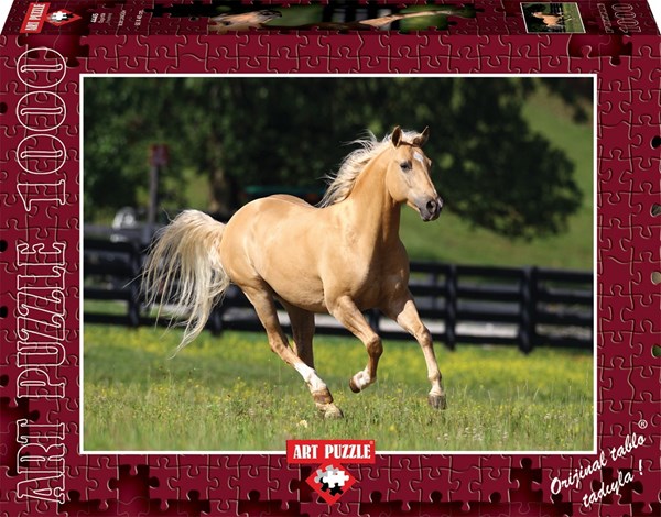 Art Puzzle (4445) - "Freedom" - 1000 pieces puzzle