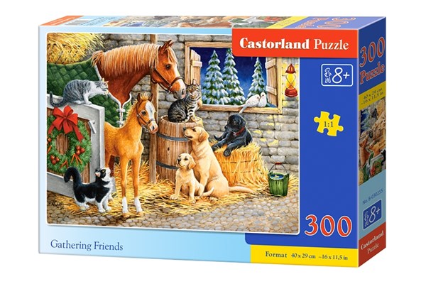 Castorland (B-030255) - "Gathering Friends" - 300 pieces puzzle