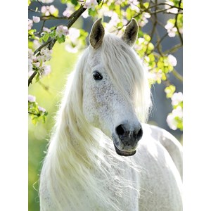 Ravensburger (14726) - "White Horse" - 500 pieces puzzle