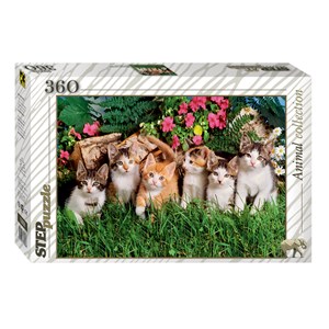 Step Puzzle (73058) - "Cat's family" - 360 pieces puzzle