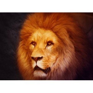 Grafika Kids (00950) - "Lion" - 300 pieces puzzle