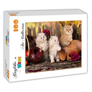 Grafika Kids (00320) - "Persian kittens" - 100 pieces puzzle