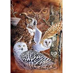 Jumbo (18346) - "Find the Owls" - 500 pieces puzzle