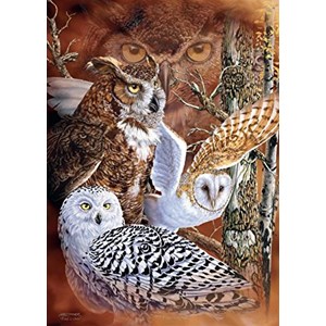 Jumbo (18346) - "Find the Owls" - 500 pieces puzzle