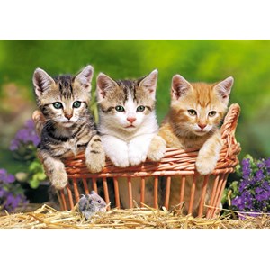 Castorland (B-52561) - "Three Lovely Kittens" - 500 pieces puzzle