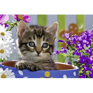 Ravensburger (08971) - "Cat and Dog" - 24 pieces puzzle