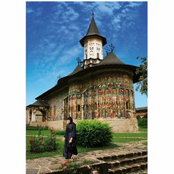 D-Toys (63038-MN03) - "Sucevite Monastery" - 1000 pieces puzzle