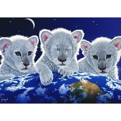 Grafika (T-00404) - Schim Schimmel, William Schimmel: "Secret, Mystery and Hope" - 1000 pieces puzzle