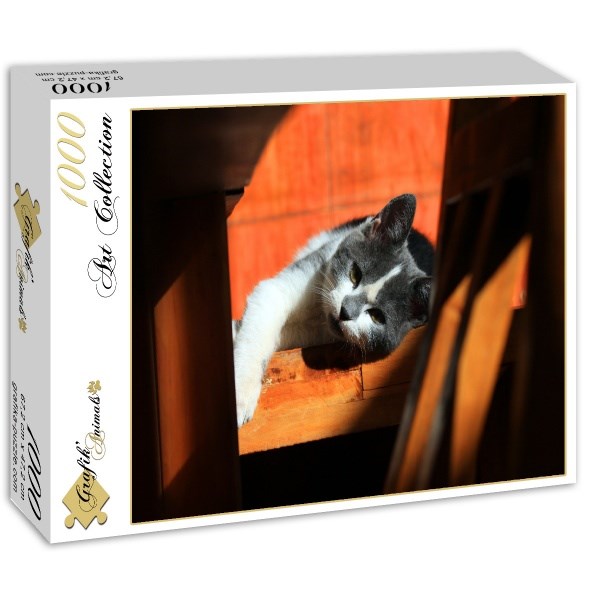 Grafika (01409) - "Kitten" - 1000 pieces puzzle