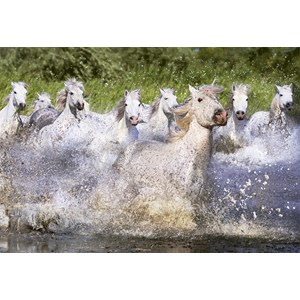 Educa (15988) - "Camargue horses" - 1000 pieces puzzle