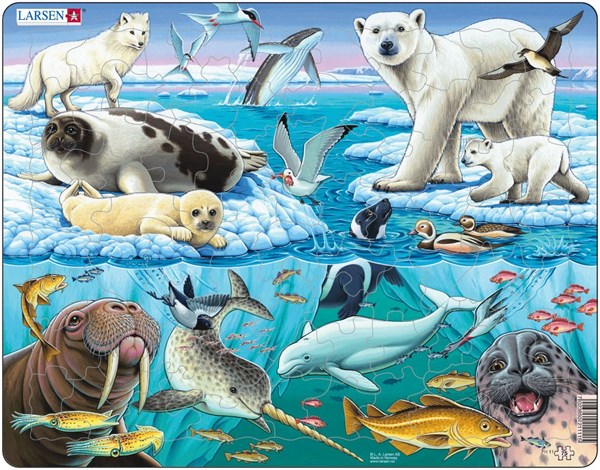 Larsen (FH11) - "Arctic Ice" - 75 pieces puzzle