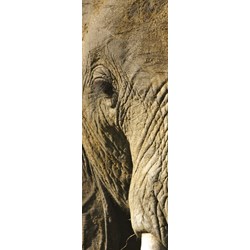 Clementoni (39307) - "Animals" - 500 pieces puzzle