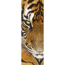 Clementoni (39307) - "Animals" - 500 pieces puzzle