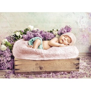 Grafika (01610) - Konrad Bak: "Baby sleeping in the Lilac" - 300 pieces puzzle
