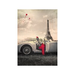 Art Puzzle (4359) - "Paris" - 1000 pieces puzzle