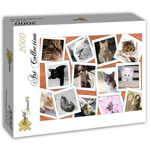 Grafika (T-00383) - "Cats" - 2000 pieces puzzle