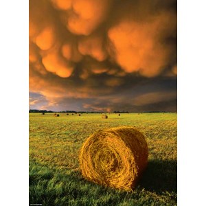 Heye (29550) - "Rising Storm" - 1000 pieces puzzle