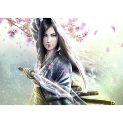 Ravensburger (19036) - "The Legend of the Five Rings" - 1000 pieces puzzle