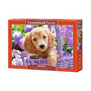 Castorland (C-103799) - "Puppy in Basket" - 1000 pieces puzzle