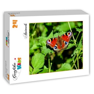 Grafika Kids (01229) - "Butterfly" - 24 pieces puzzle