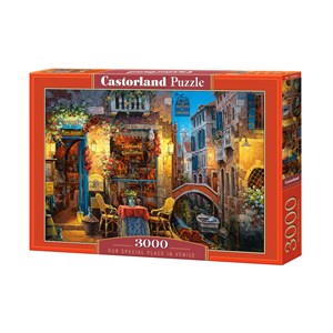 Castorland (C-300426) - "Our Special Place in Venice" - 3000 pieces puzzle