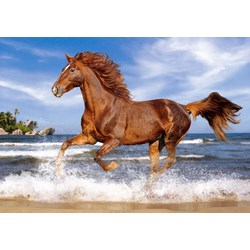 Castorland (B-52578) - "Horse on the Beach" - 500 pieces puzzle