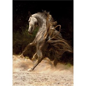 D-Toys (65988-PH03) - "Horse in the Dust" - 1000 pieces puzzle