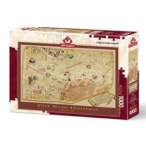 Art Puzzle (4308) - "The Piri Reis Map" - 1000 pieces puzzle