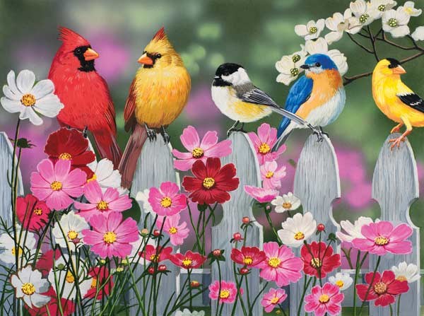 SunsOut (30448) - William Vanderdasson: "Songbirds and Cosmos" - 500 pieces puzzle