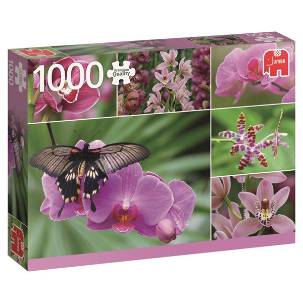 Jumbo (18354) - "Holland Orchids" - 1000 pieces puzzle