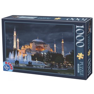 D-Toys (64301-NL11) - "Hagia Sophia, Turkey" - 1000 pieces puzzle