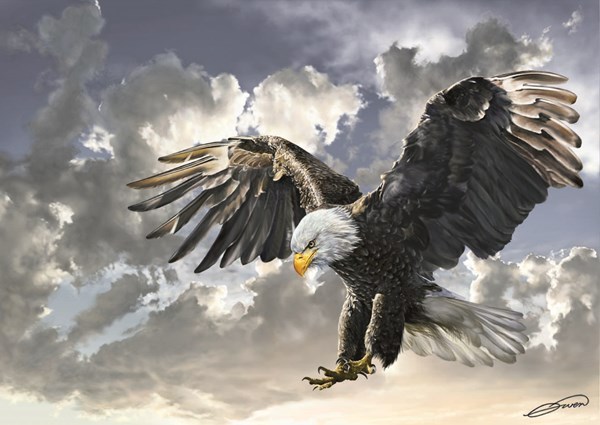 Art Puzzle (4167) - "Black and White" - 500 pieces puzzle