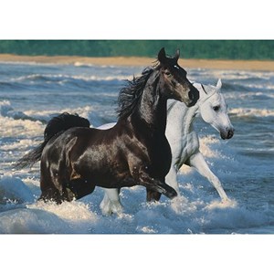 Ravensburger (16276) - "Horses on the Beach" - 1500 pieces puzzle