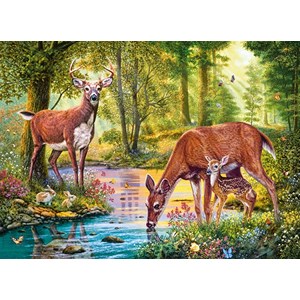 Castorland (B-030132) - "Woodland Stream" - 300 pieces puzzle