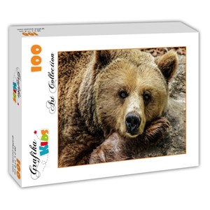Grafika Kids (00799) - "Bear" - 100 pieces puzzle