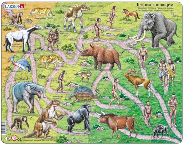 Larsen (HL3-RU) - "The Road From Ape to Human - RU" - 83 pieces puzzle