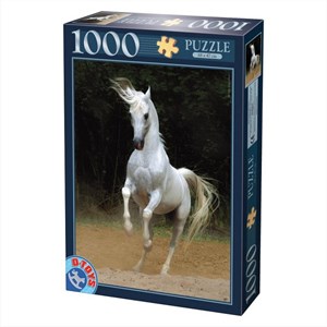 D-Toys (65988-PH01) - "Horses, White Horse" - 1000 pieces puzzle