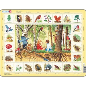 Larsen (NA4-GB) - "Forest (in English)" - 48 pieces puzzle