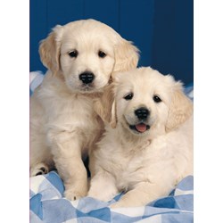 Ravensburger (14238) - "Golden Retriever" - 500 pieces puzzle