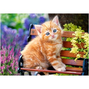 Castorland (B-52240) - "Ginger Kitten" - 500 pieces puzzle