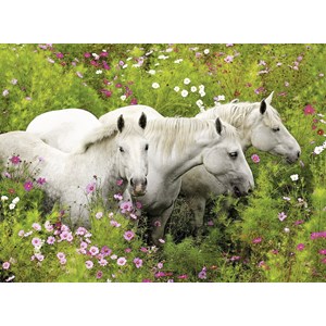 Ravensburger (13218) - "Horses on the Flower Meadow" - 300 pieces puzzle